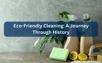 The Timeless Tradition of Eco-Friendly Cleaning: A Journey Through History