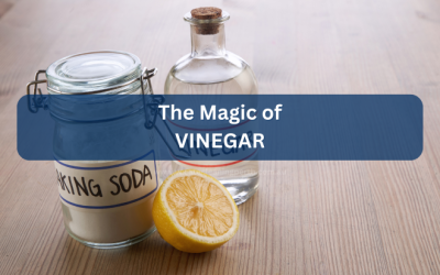 Vinegar: The Unsung Hero of Household Cleaning